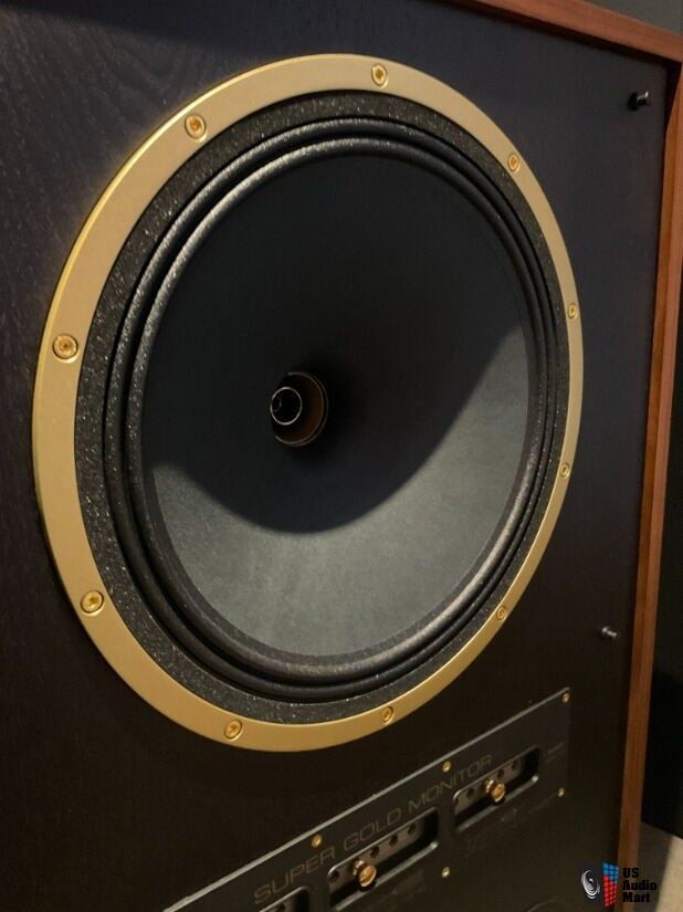 Tannoy SGM-15 7