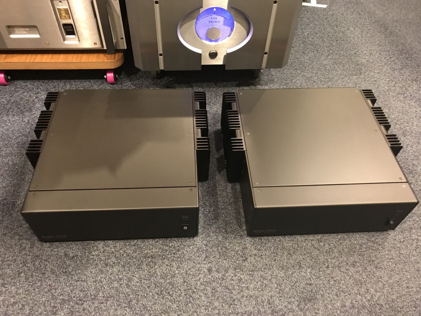 Boulder 250AE Mono Block Power Amplifier For Sale | Audiogon