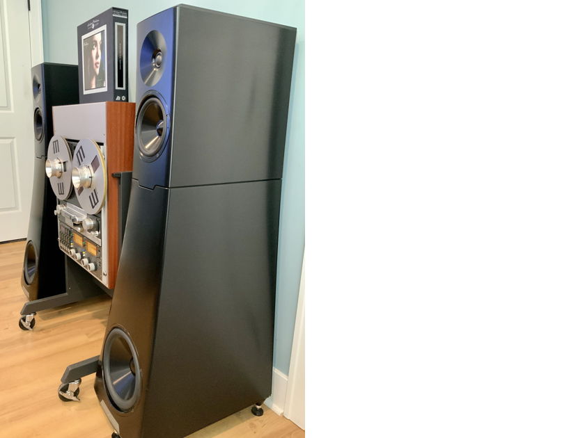 BEST OFFER - DEMO YG Acoustics Hailey 2.2