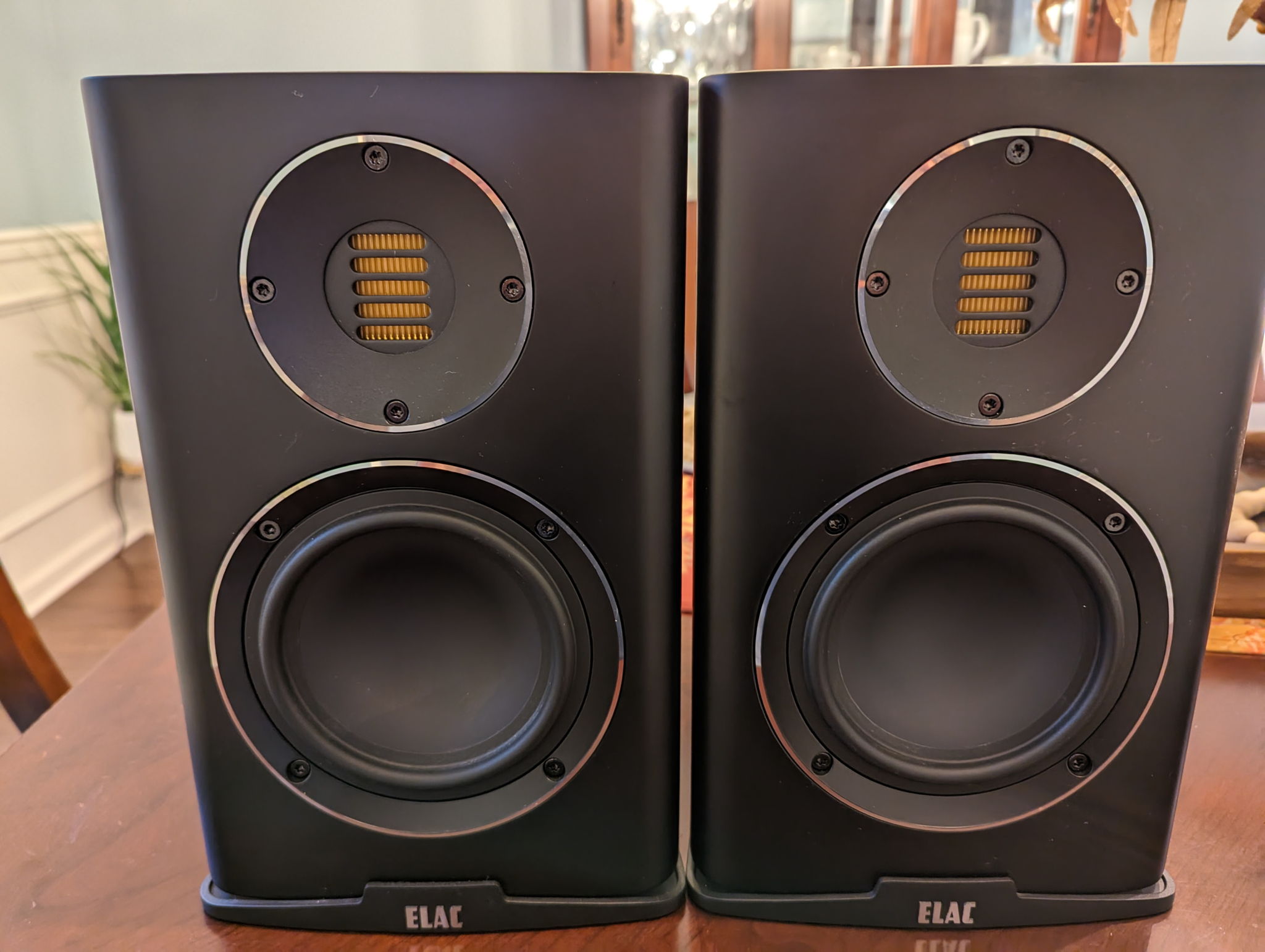 Elac carina hot sale for sale