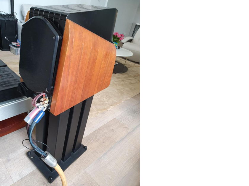Sonus faber extrema for store sale