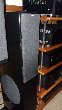 scansonic M9 Great sounding speakers w a little Raidho ...