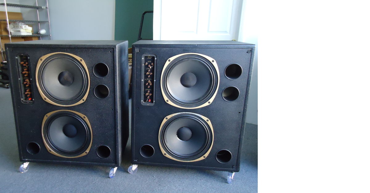 Tannoy fsm hot sale