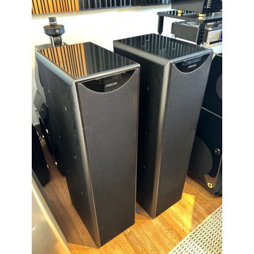 Pair Meridian DSP 5500 Active 24/96 (Powered) Stereo Sp...