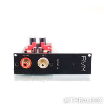 AVM Evolution Phono Card; Demo w/ Warranty (73105)