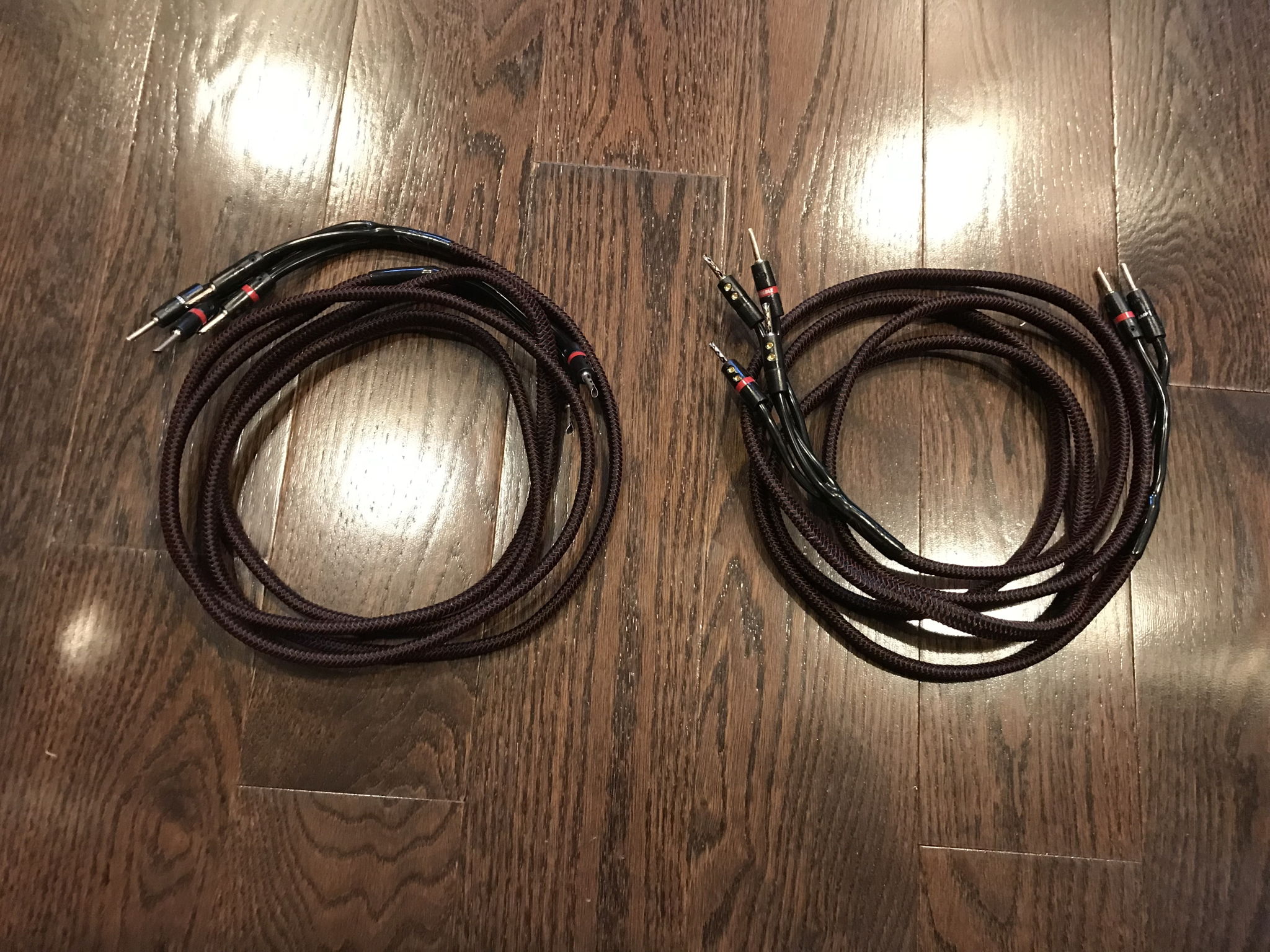 AudioQuest Rocket 33 Bi-Wire 10 Ft.