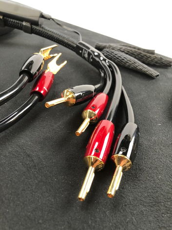 AudioQuest Rocket 88 Bi-Wire Speaker Cables, 14', with ...
