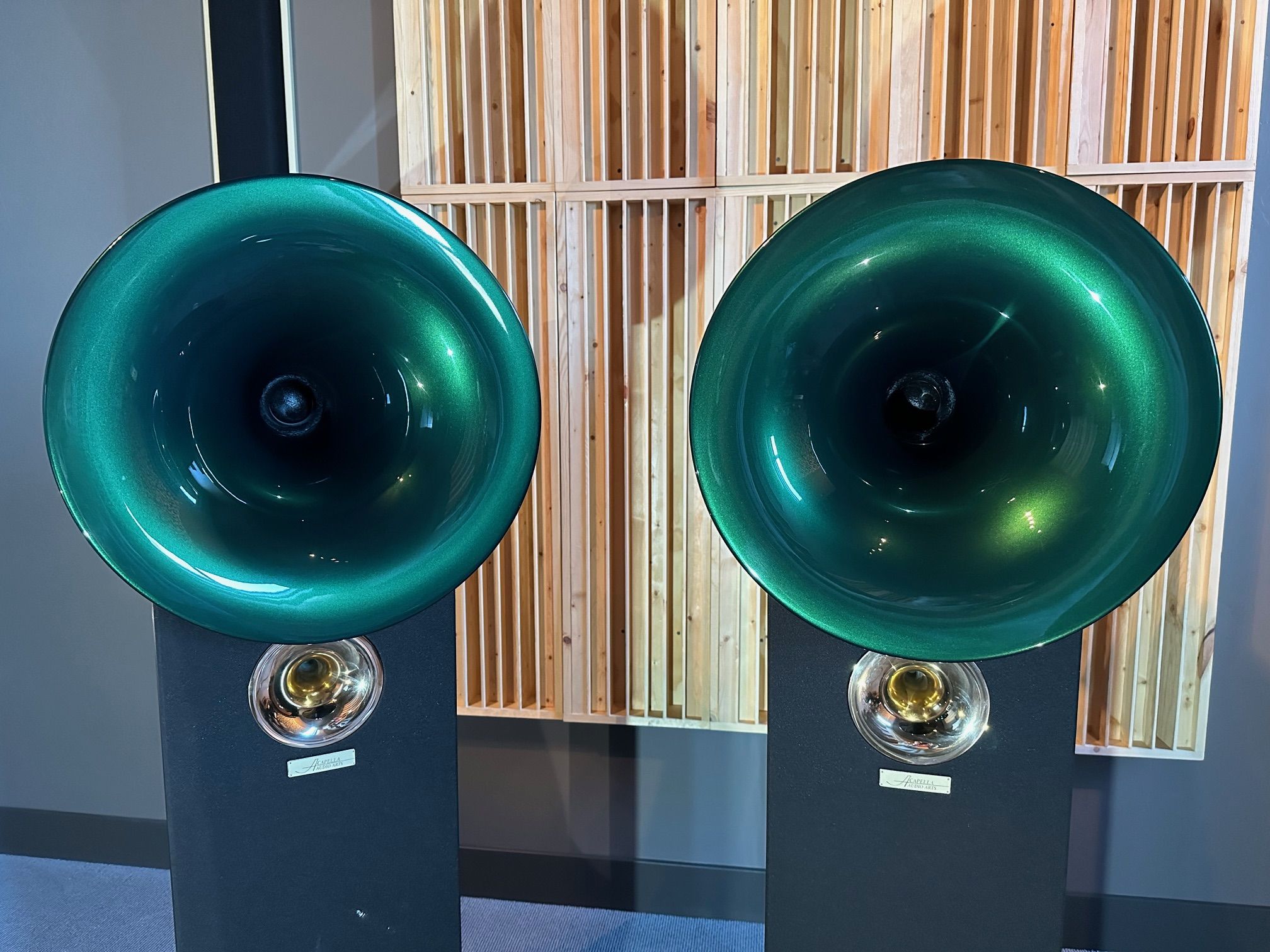 Acapella Audio Arts High Violon Suboctave Horn Speakers... 7