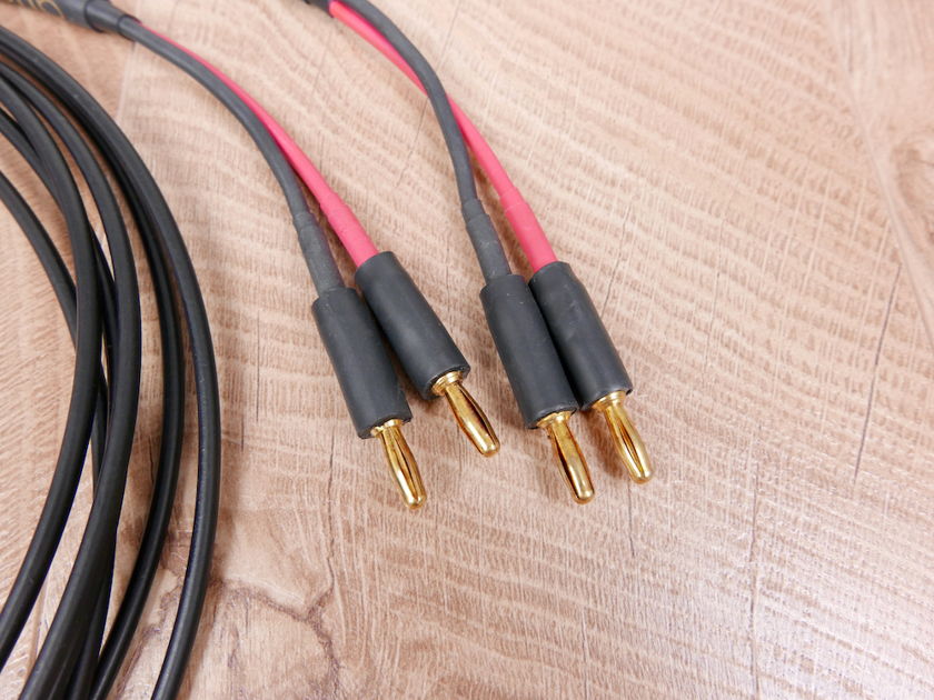 Audience AU24 audio speaker cables 2,5 metre