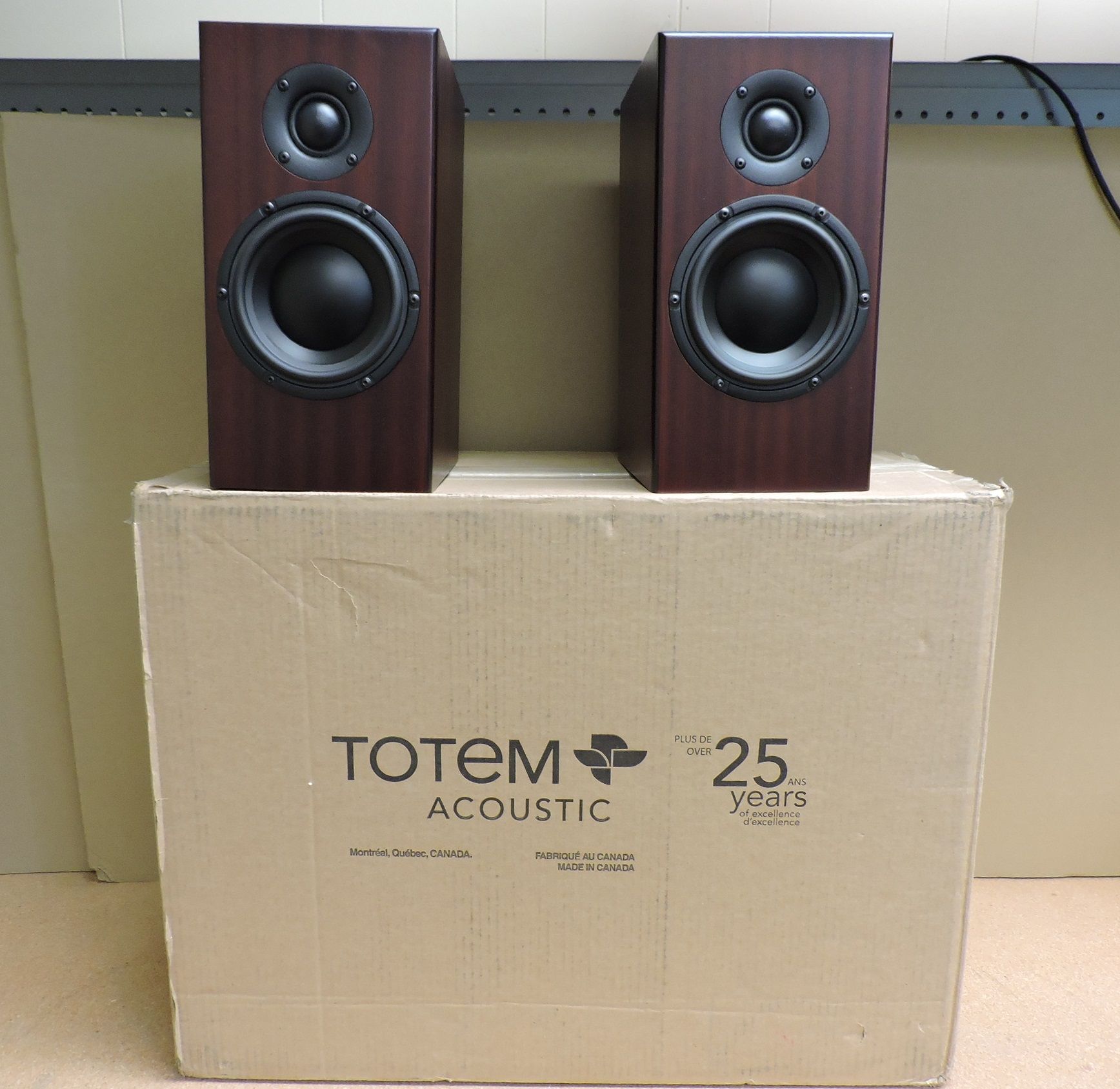 Totem sky hot sale for sale