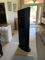 GoldenEar Technology Triton Reference Speakers 9