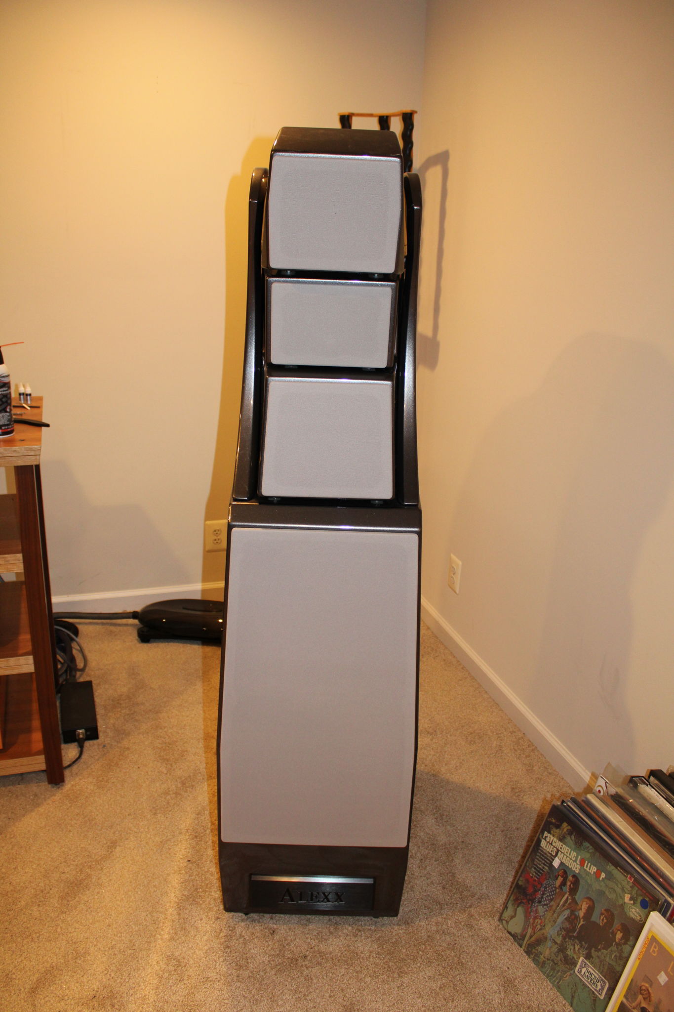 WILSON AUDIO ALEXX SERIES 1 - CERTIFIED AUTHENTIC PRE-O... 14