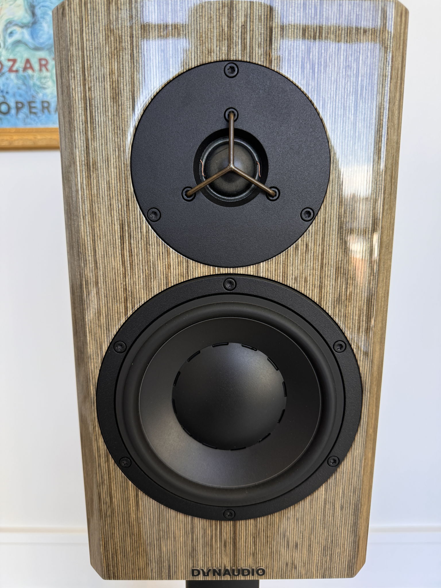 Dynaudio Special Anniversary 40 Grey Birch High Gloss 3