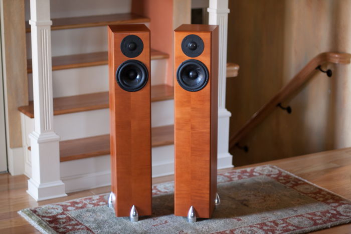 Totem Acoustic Hawk Speakers. Like New, Hardly Used.