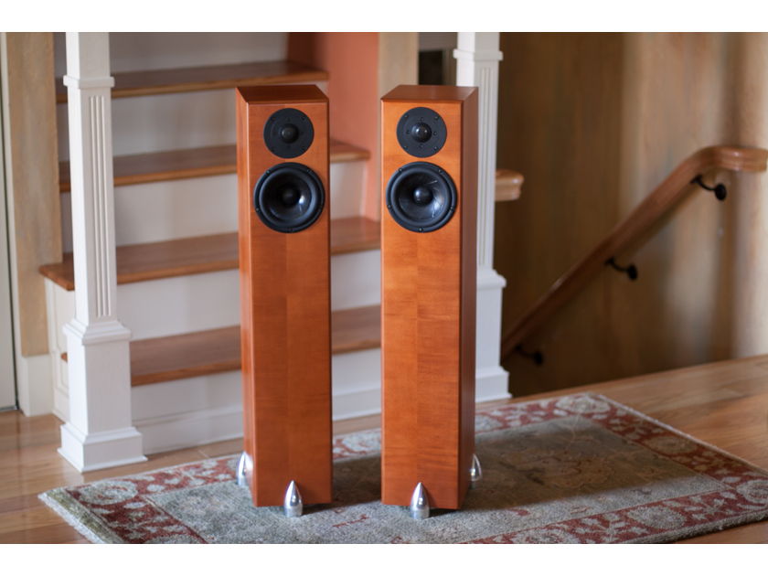 Totem Acoustic Hawk Speakers. Like New, Hardly Used.