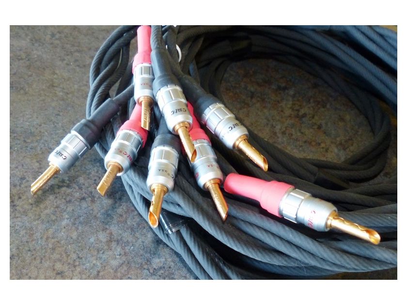 Artet Cables 10' BiWire pair Speaker