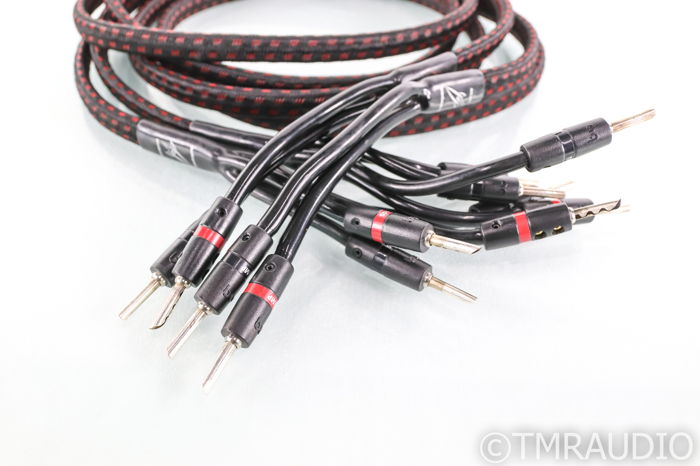 AudioQuest Rocket 33 Bi-Wire Speaker Cables; 8ft Pair (...