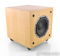 B&W ASW300 8" Powered Subwoofer; ASW 300; Maple (28922) 3