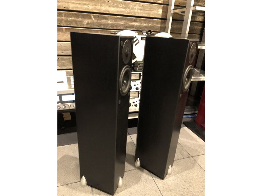 Totem Acoustic Hawk Floorstanding Speakers in Black Ash