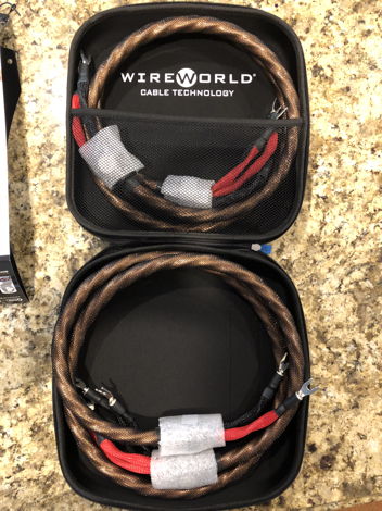 Wireworld Eclipse 7 Bi-Wire Speaker Cable Priced For Qu...