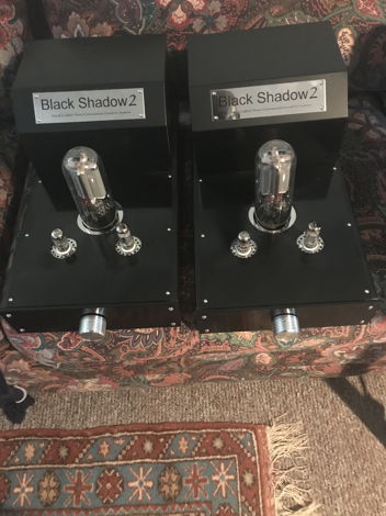 Audion Black Shadow Model 2