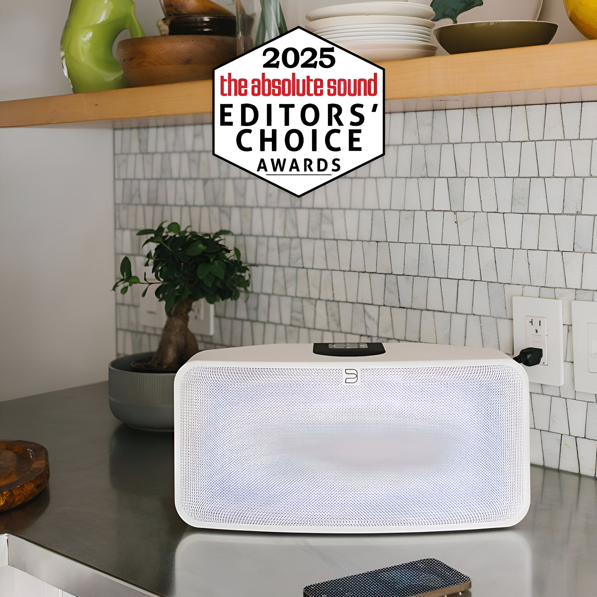 Bluesound Pulse Mini 2i Compact Wireless Multi-Room Mus...