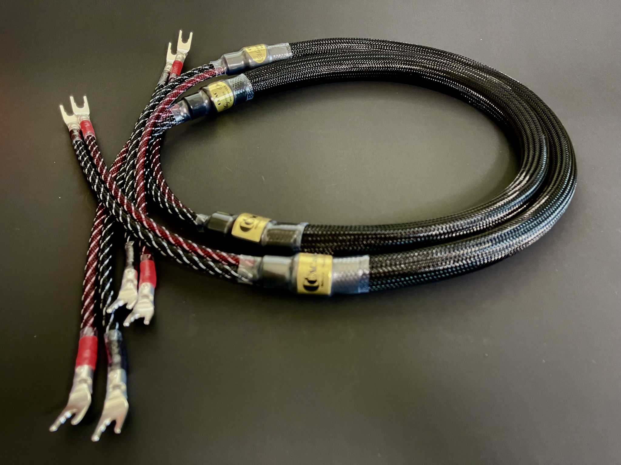 Crystal Clear Audio MAGNUM OPUS 2 Monoblocks Speaker Ca... 3