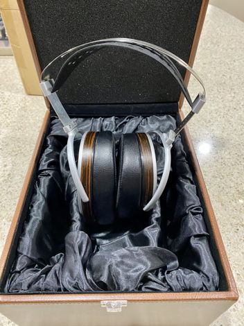 Hifiman HE1000SE - Perfect Condition