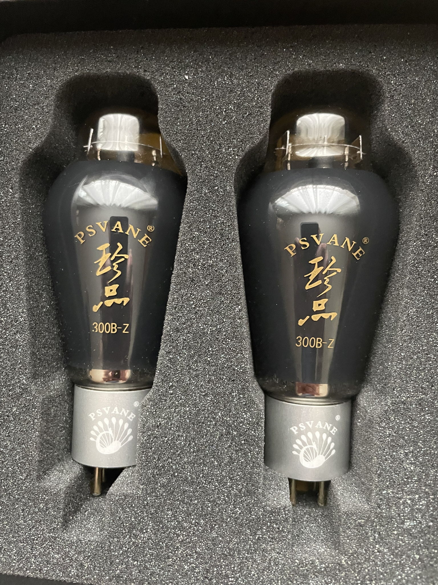 Cary Audio CAD-300sei 6