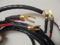 Discovery Cable 1-2-3 Speaker Cable 3