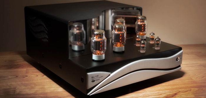 Zesto Audio Bia 120 Amplifier