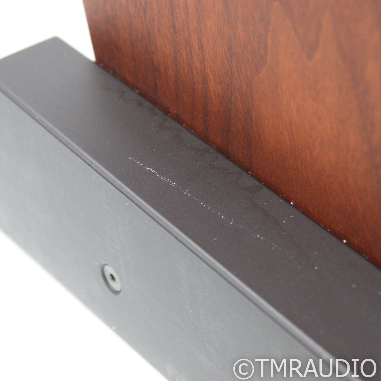 Trenner & Friedl Pharoah 2020 Floorstanding Speakers; W... 11