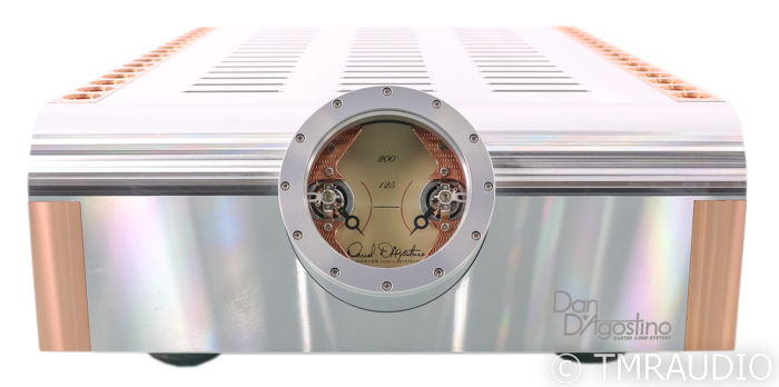 Dan D'Agostino Momentum S200 Stereo Power Amplifier; Si...
