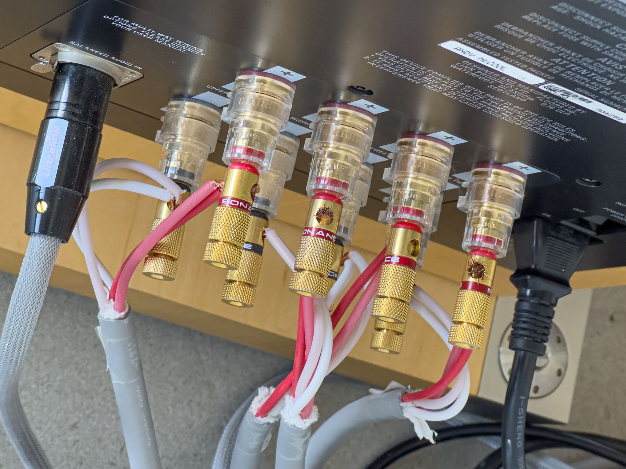 This image shows the analog speaker connections coming from the Exaktbox crossover. The XLR connector on the left feeds the Lower Bass amps inside the speaker.