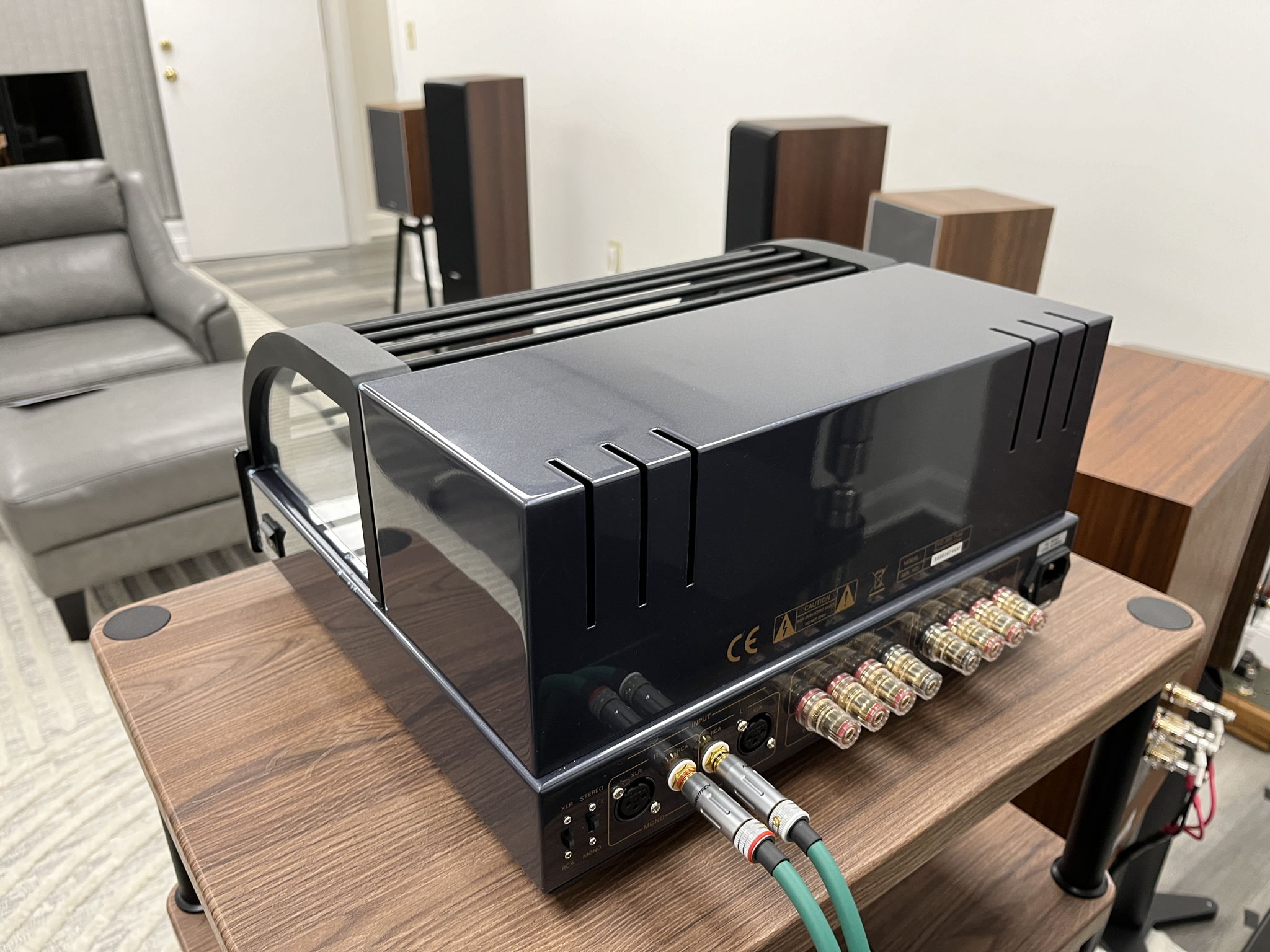 PrimaLuna EVO 300 Tube Power Amplifier 3