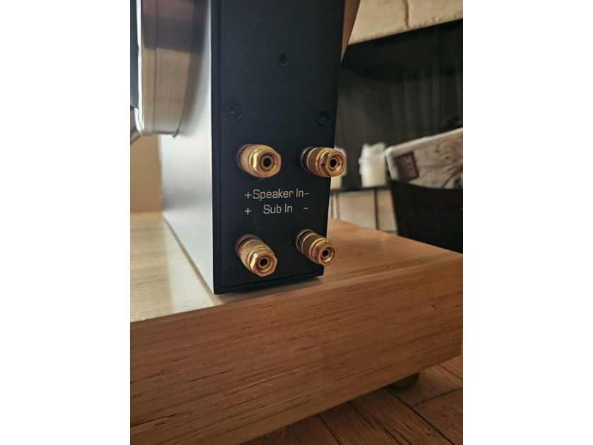 Gallo Acoustics Nucleus Reference 3.1
