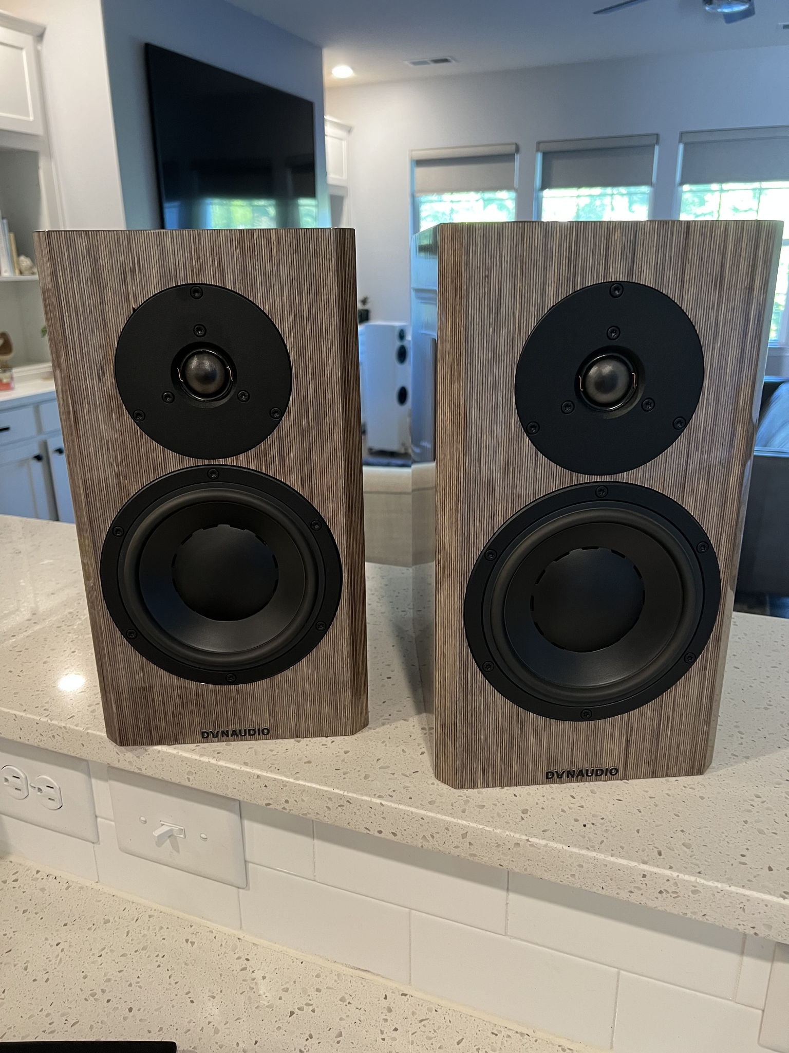 Dynaudio special sale 40 for sale