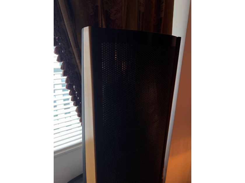 Martin Logan Prodigy  excellent condition. Looks brand new.