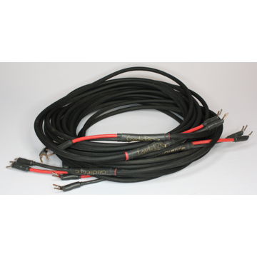 Audience Conductor Shotgun Bi-Wire (double run of cable...