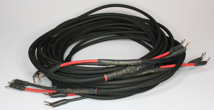 Audience Conductor Shotgun Bi-Wire (double run of cable...