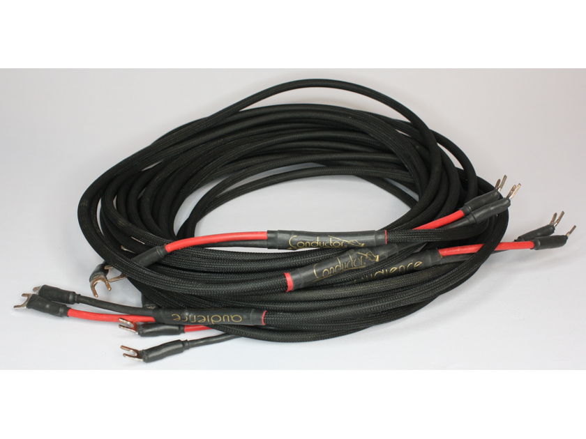 Audience Conductor Shotgun Bi-Wire (double run of cables) Speaker Cables. 12ft Pair. Spades to Spades