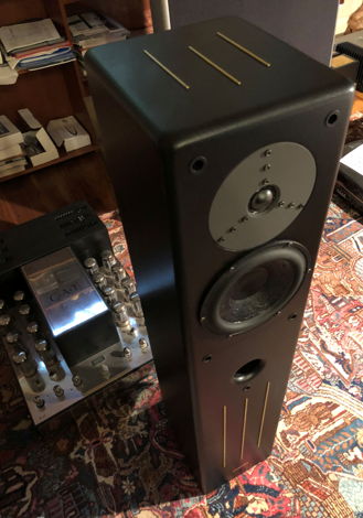 Merlin Music Systems VSM-MMe Speakers with Spikes, BAM ...