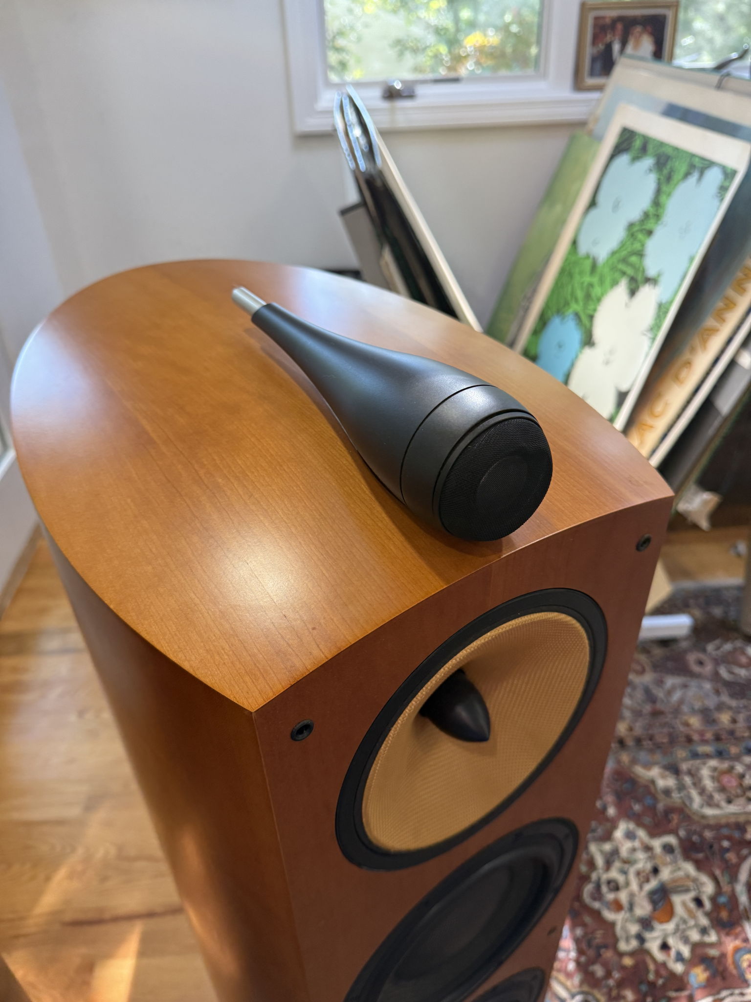 B&W (Bowers & Wilkins) 803S 9