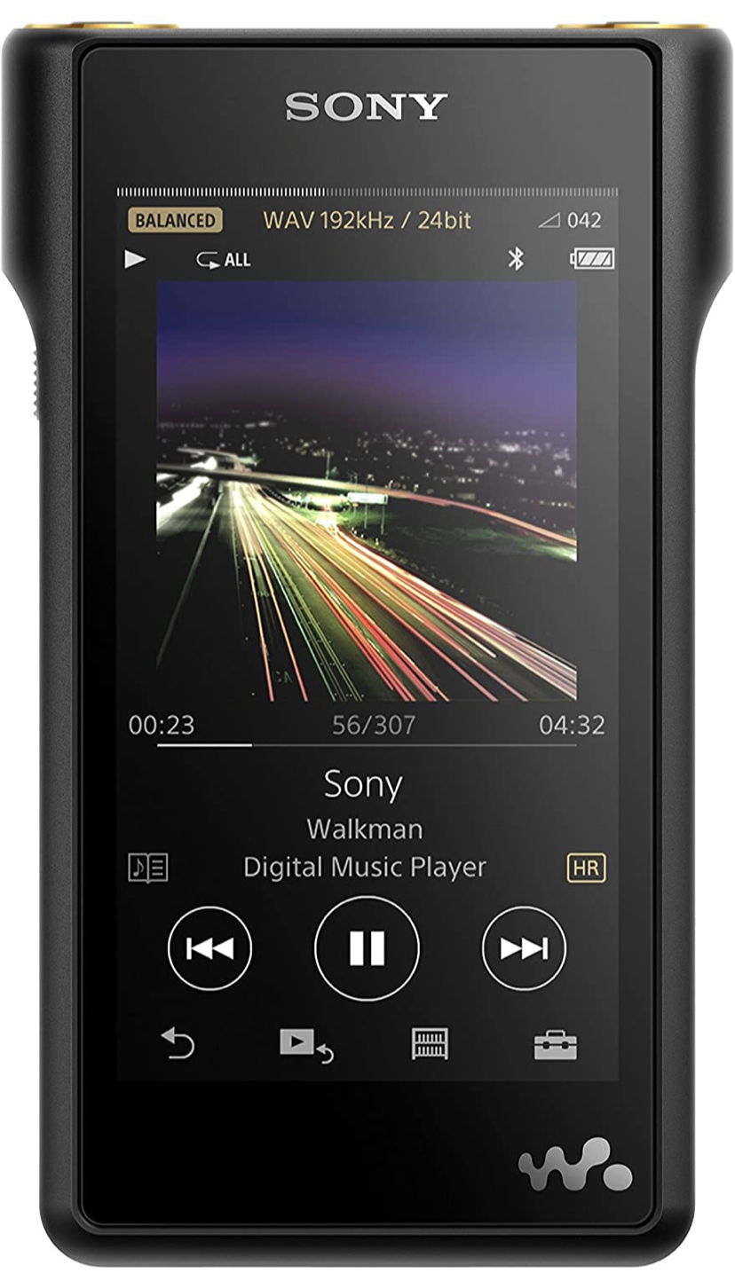 Portable music player 