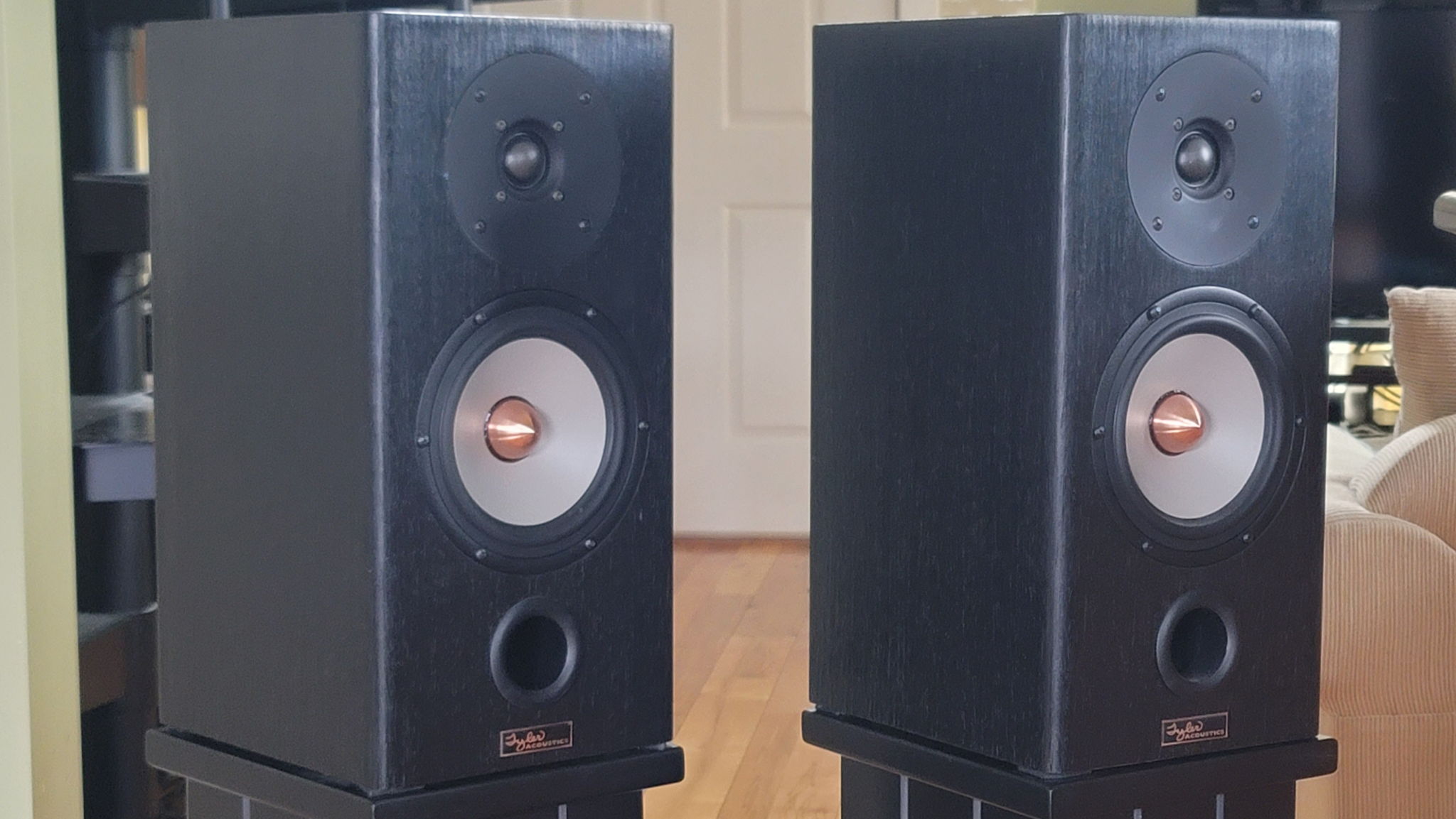 Tyler Acoustics Taylo Reference Monitors  (I'll include... 9