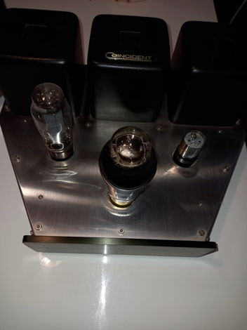 Coincident Speaker Technology M300B Frankenstein  MK II...