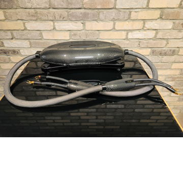 Transparent Audio Opus 스피커 케이블