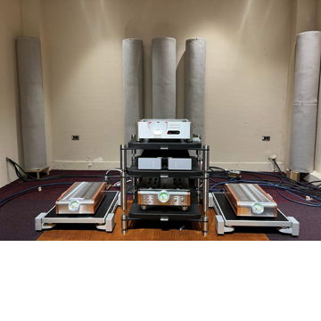 Dan D'Agostino Momentum M400 Monoblocks - Free Shipping