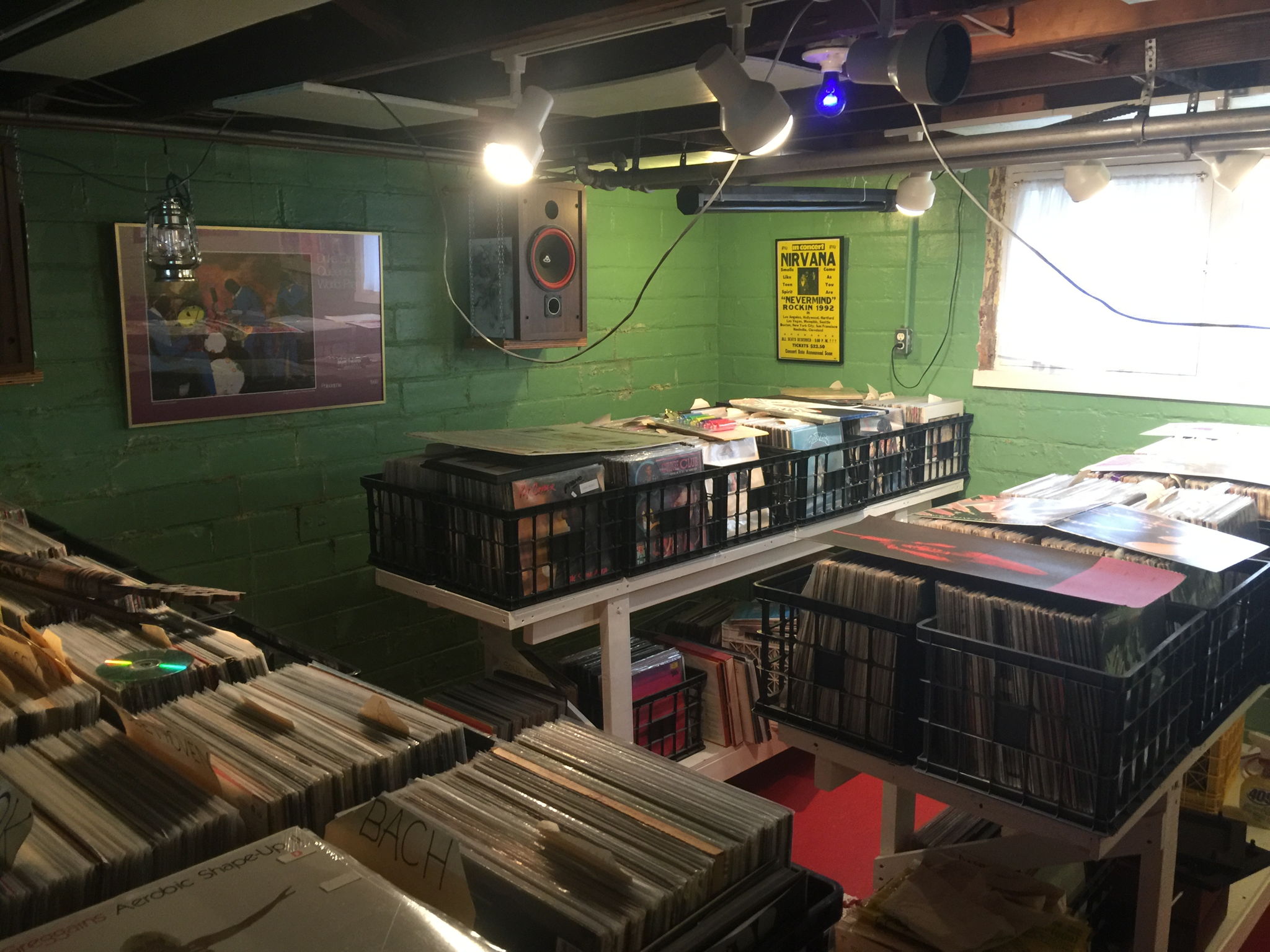 Record collection in basement 