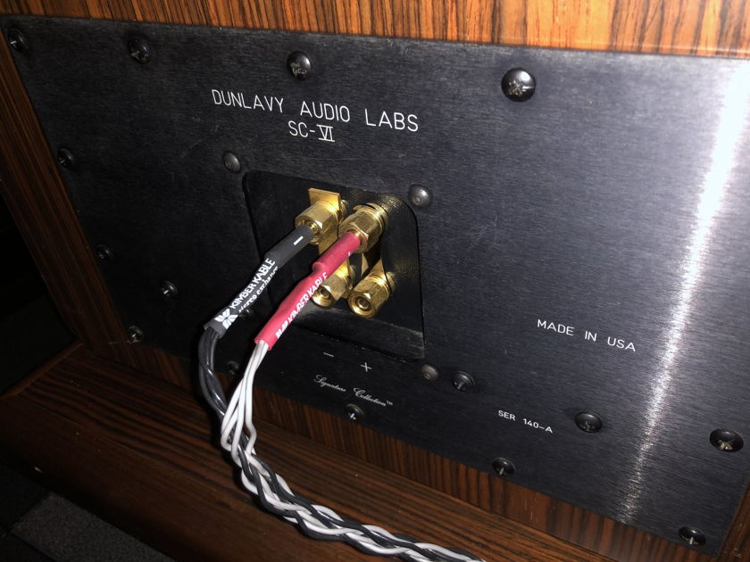 Dunlavy Audio SC VI Speakers - Monstrous Sound at 91db Efficiency!